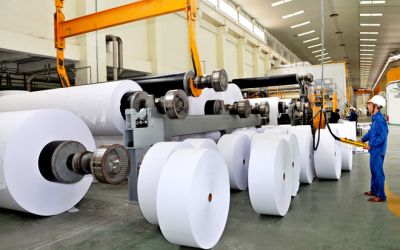 Ngành giấy giằng co, kỳ vọng bứt tốc từ quý II/2025